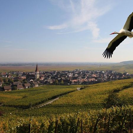 Les Chambres Du Vignoble Ammerschwihr Eksteriør billede